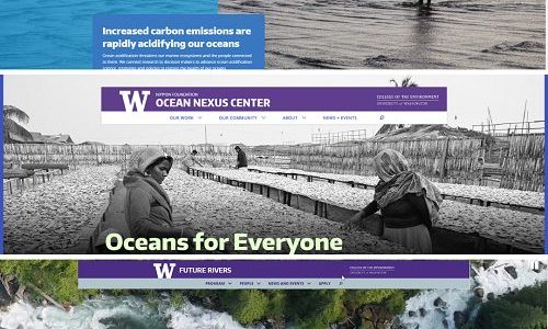 thumbnails of Future Rivers Ocean Nexus Center and Washington Ocean Acidification Center websites