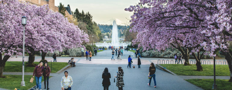 Rainier Vista on UW campus