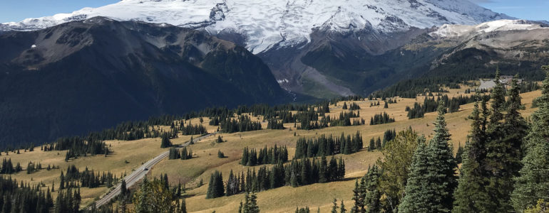 sunrise at mount rainier national park