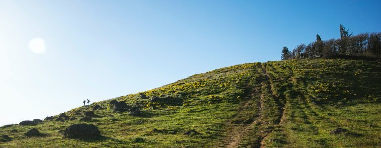 A grassy hill under a blue sky