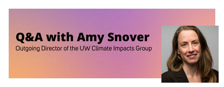 Q&A with Amy Snover