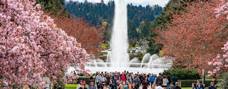 Image of fountain on UW Seattle campus