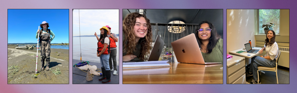 Image of interns from summer 2024