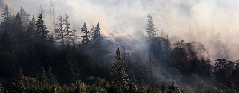 Image of wildfire smoke