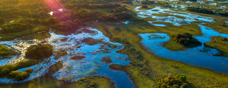 wetlands