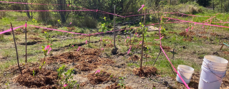 Image from In the Hands of Future Generations worksite