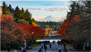 UW Seattle Campus on a clear fall day.