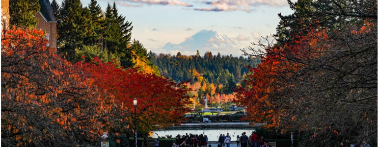 UW Seattle Campus on a clear fall day.