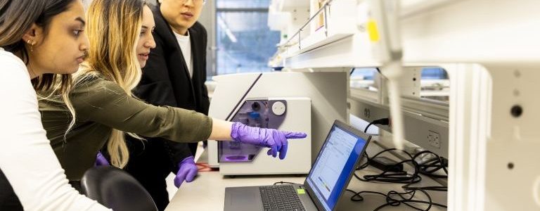 Researchers Looking at a Computer