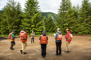 UW students conducting research at the Big Hollow fire site.
