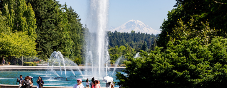 Image of UW Seattle campus in June
