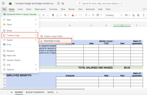 Screenshot of Incubator Grants budget and budget narrative template