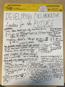 Notes from the small group brainstorming activity on developing collaborative leaders for the future.
