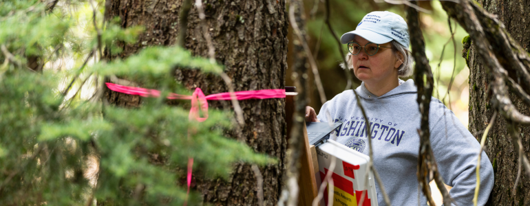 Image of Susan Dickerson-Lange, EarthLab interim executive director, conducting forest management field research in Snoqualmie Pass.
