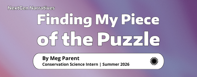 Finding My Piece of the Puzzle by Meg Parent
