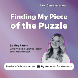 Finding My Piece of the Puzzle by Meg Parent